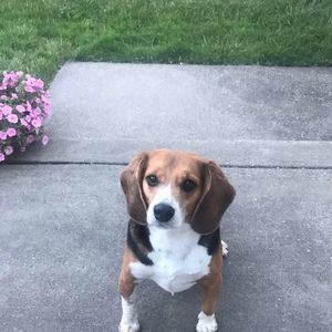 Meet your Posher, Jules